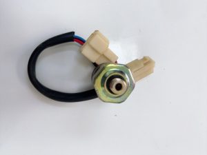 Z5017572357193 19986649ed8616879989ed30b9995417