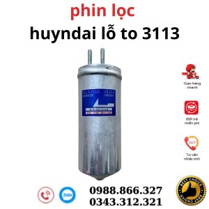 3113 HD Lỗ To